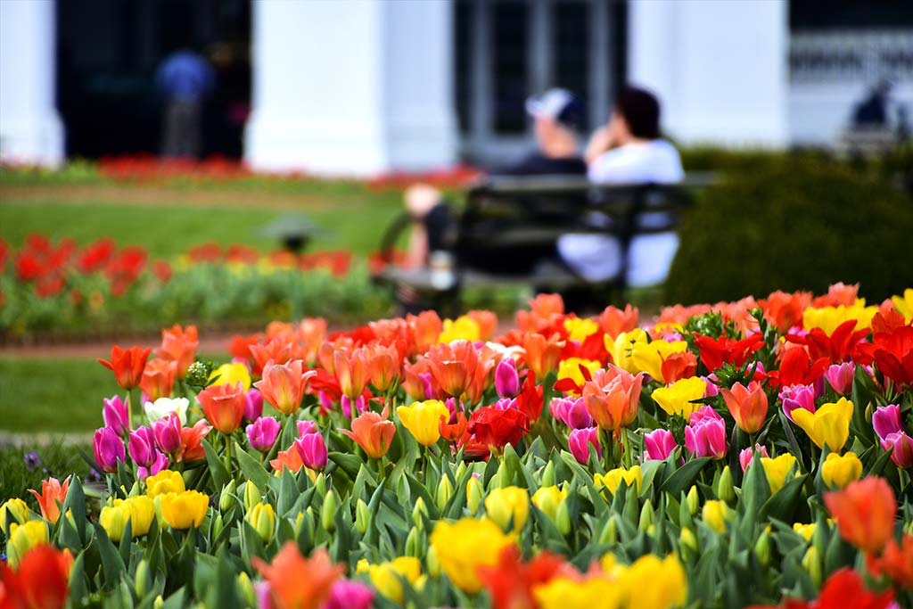Spring